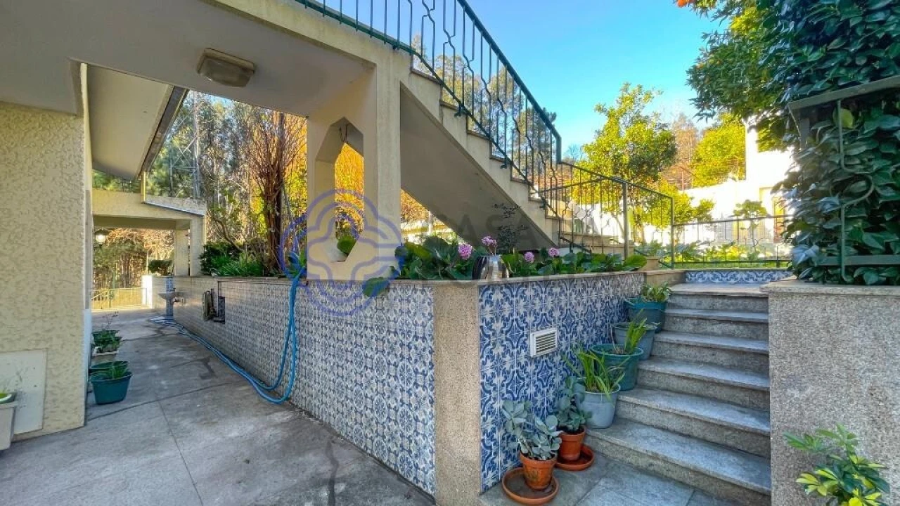 Quinta T5 para Venda em Romariz Foto 3