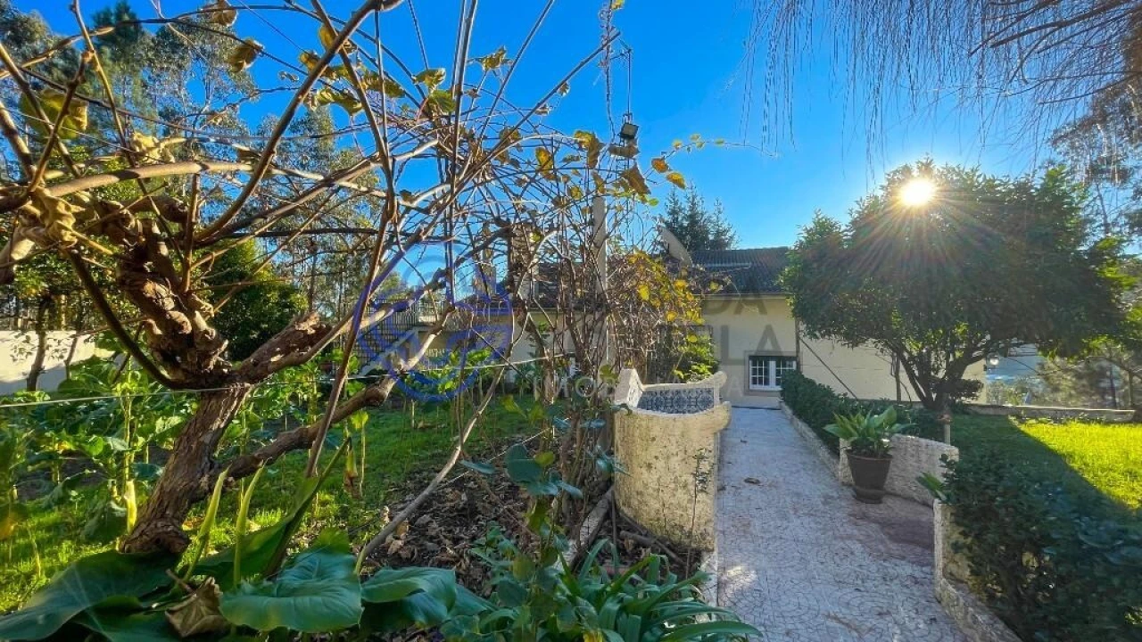 Quinta T5 para Venda em Romariz Foto 53