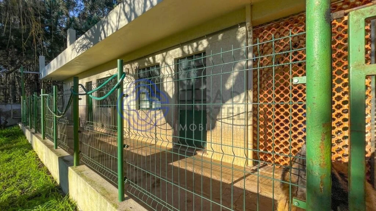 Quinta T5 para Venda em Romariz Foto 56