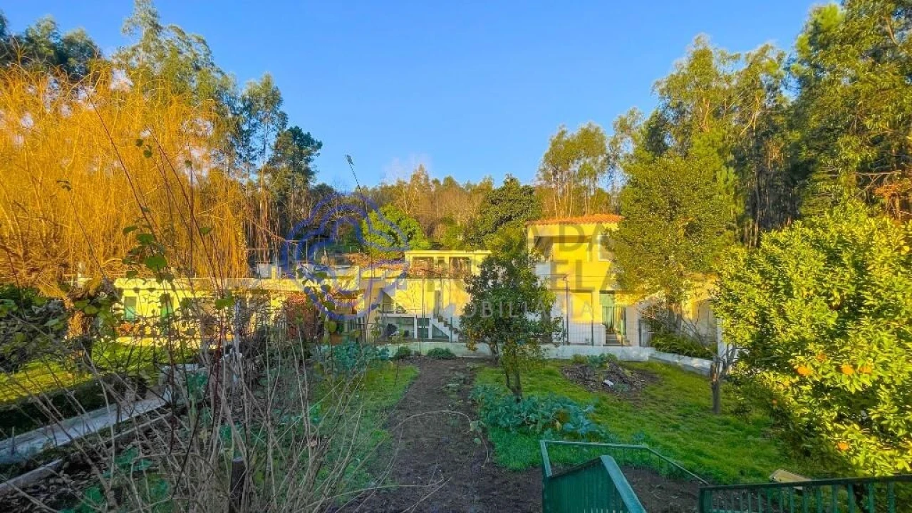 Quinta T5 para Venda em Romariz Foto 52