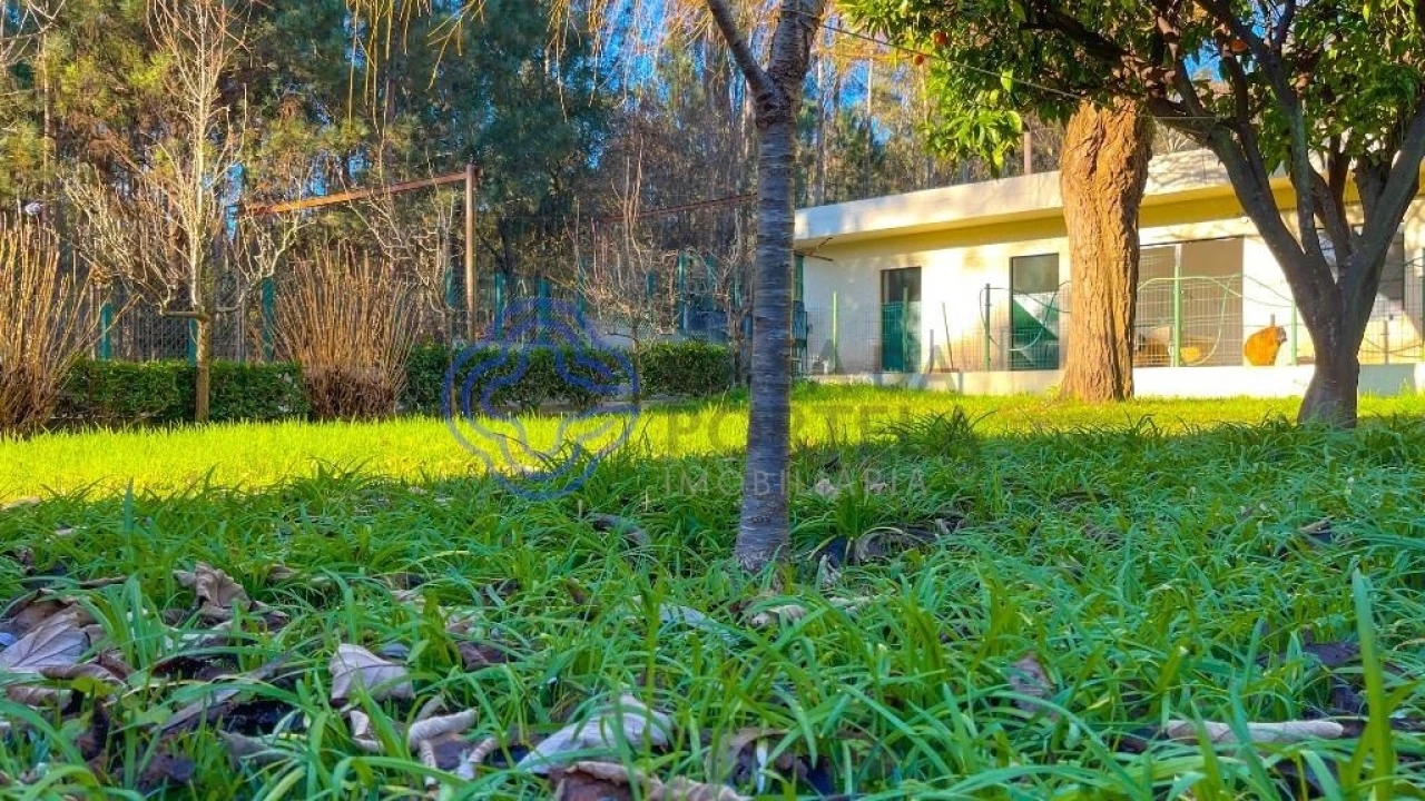 Quinta T5 para Venda em Romariz Foto 55