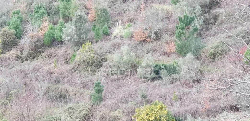 Terreno para Venda em Moura Morta e Vinhós Foto 1