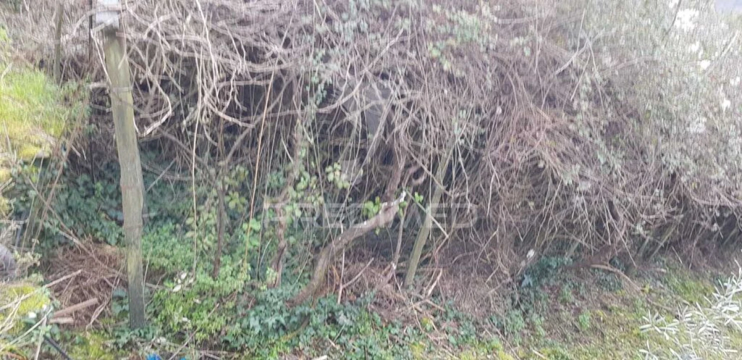 Terreno para Venda em Moura Morta e Vinhós Foto 2
