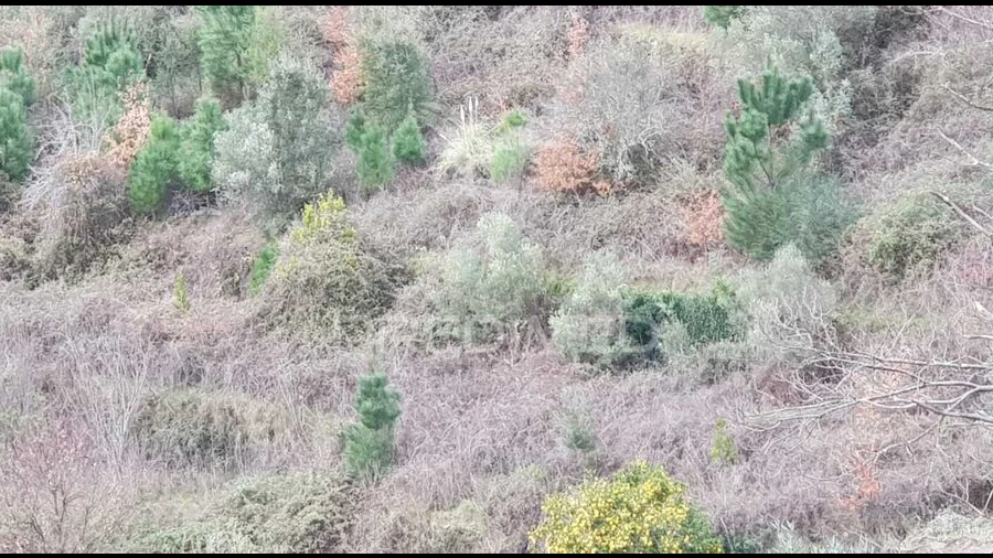 Terreno para Venda em Moura Morta e Vinhós