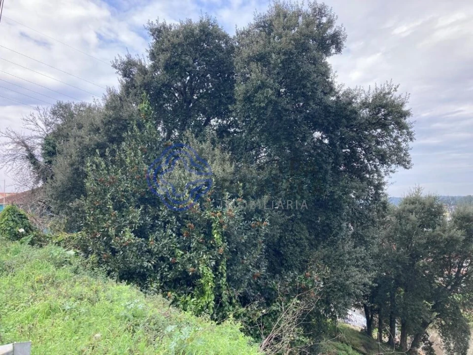 Terreno para Venda em Alfena Foto 13