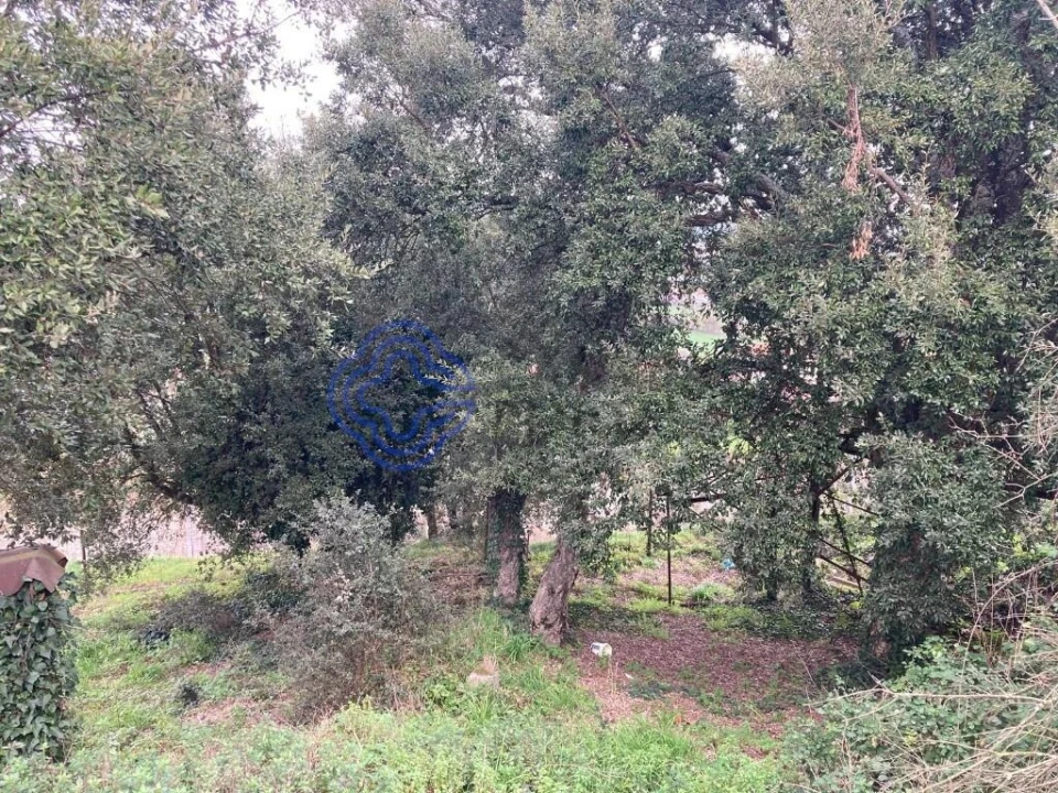 Terreno para Venda em Alfena Foto 14