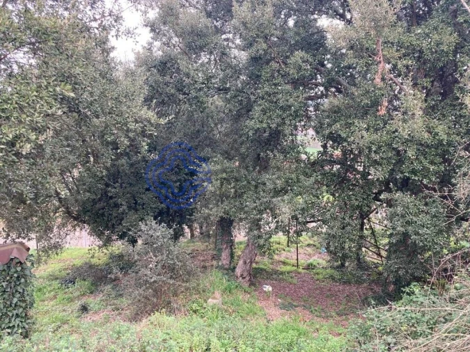 Terreno para Venda em Alfena Foto 14