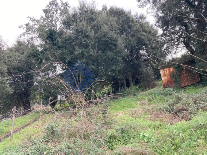 Terreno para Venda em Alfena Foto 6