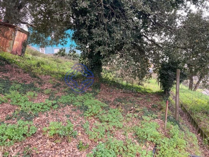 Terreno para Venda em Alfena Foto 2