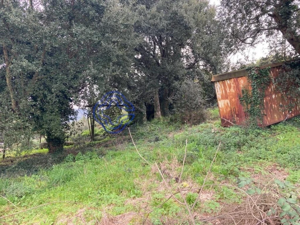 Terreno para Venda em Alfena Foto 7