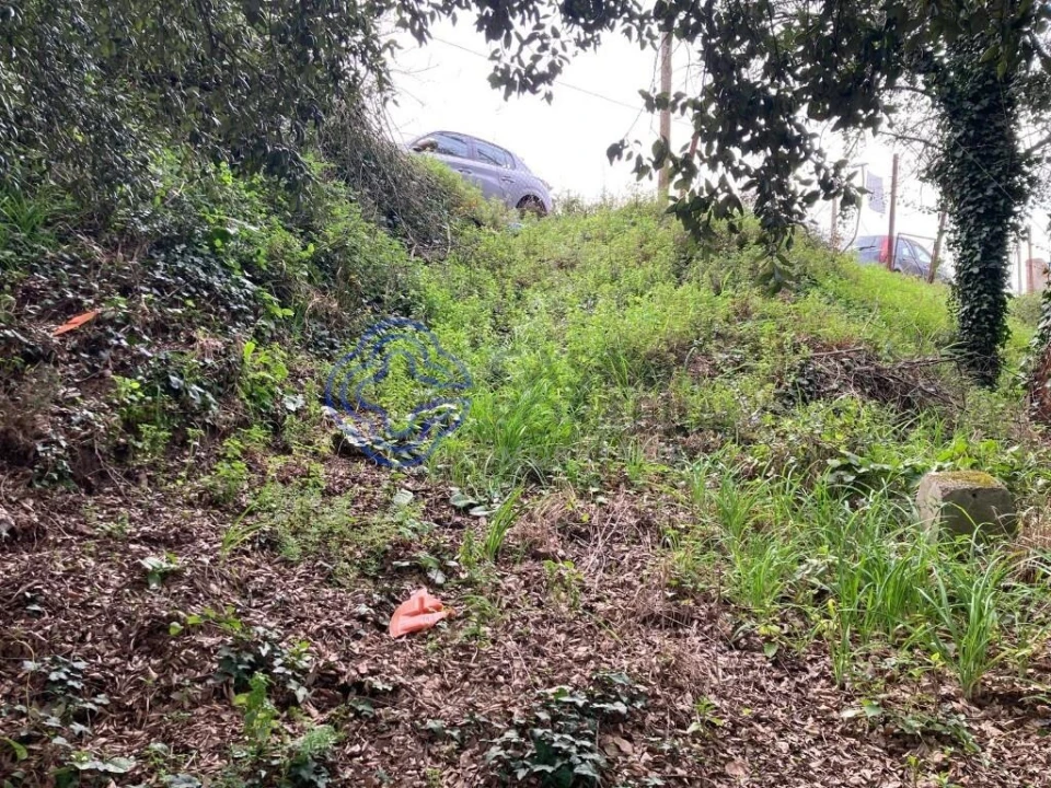 Terreno para Venda em Alfena Foto 11