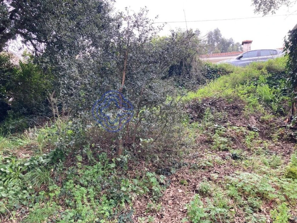 Terreno para Venda em Alfena Foto 10