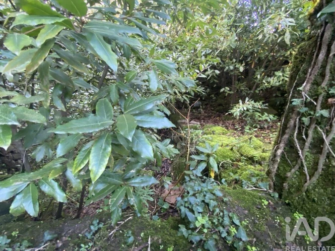 Moradia T3 para Venda em Covas Foto 22