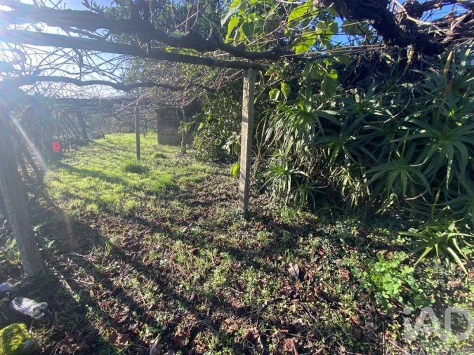 Moradia T3 para Venda em Covas Foto 25