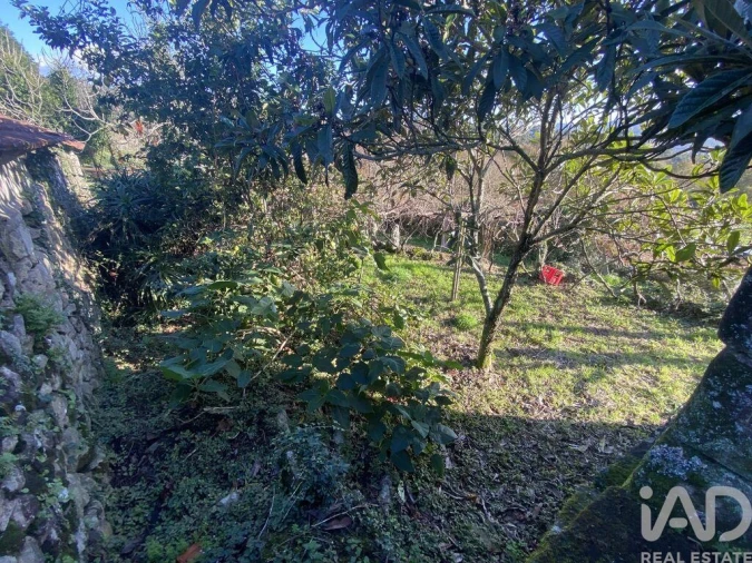 Moradia T3 para Venda em Covas Foto 23