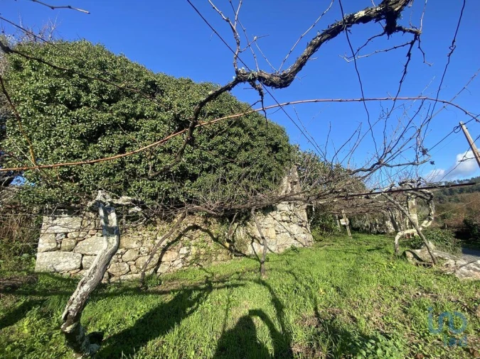 Moradia T3 para Venda em Covas Foto 5