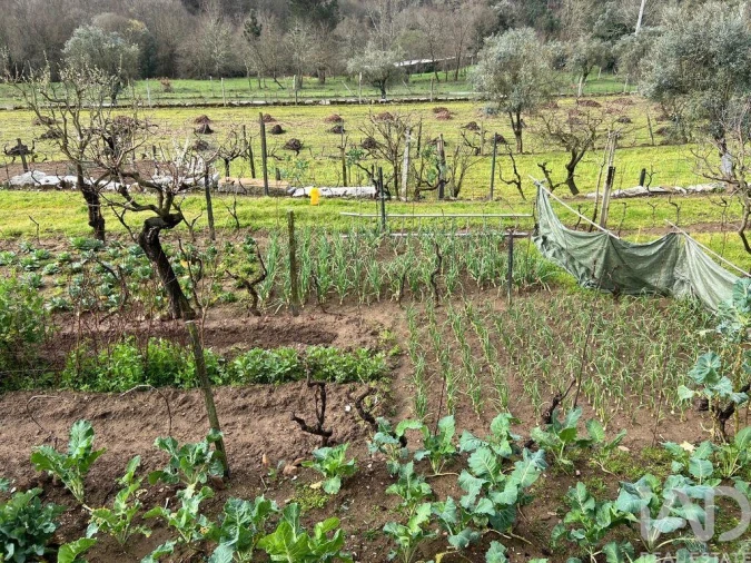 Moradia T9 para Venda em São Pedro do Sul, Várzea e Baiões Foto 15