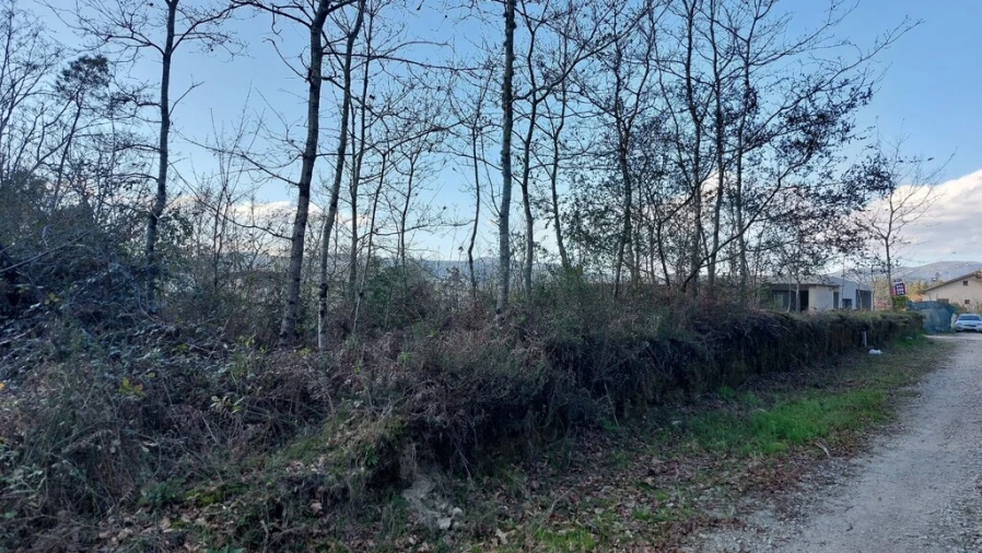 Terreno para Venda em Fiscal Foto 2