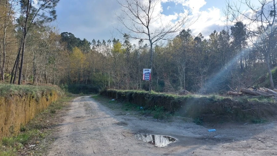 Terreno para Venda em Fiscal Foto 3