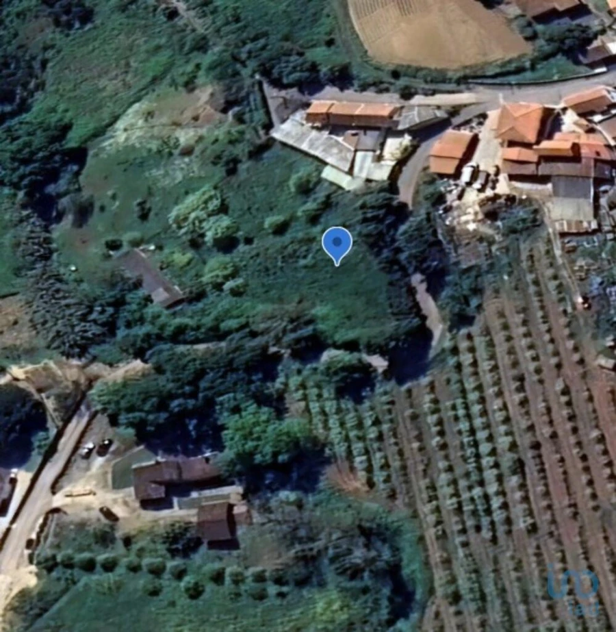 Terreno para Venda em Lamas e Cercal Foto 4