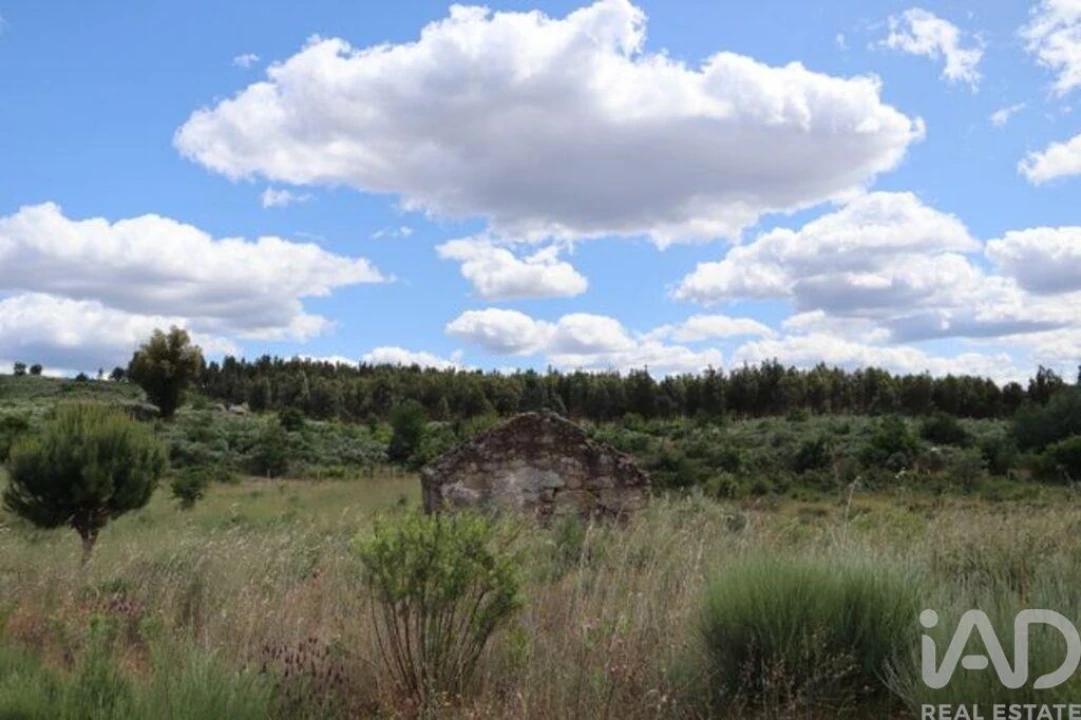 Terreno para Venda em Seixo da Beira Foto 15