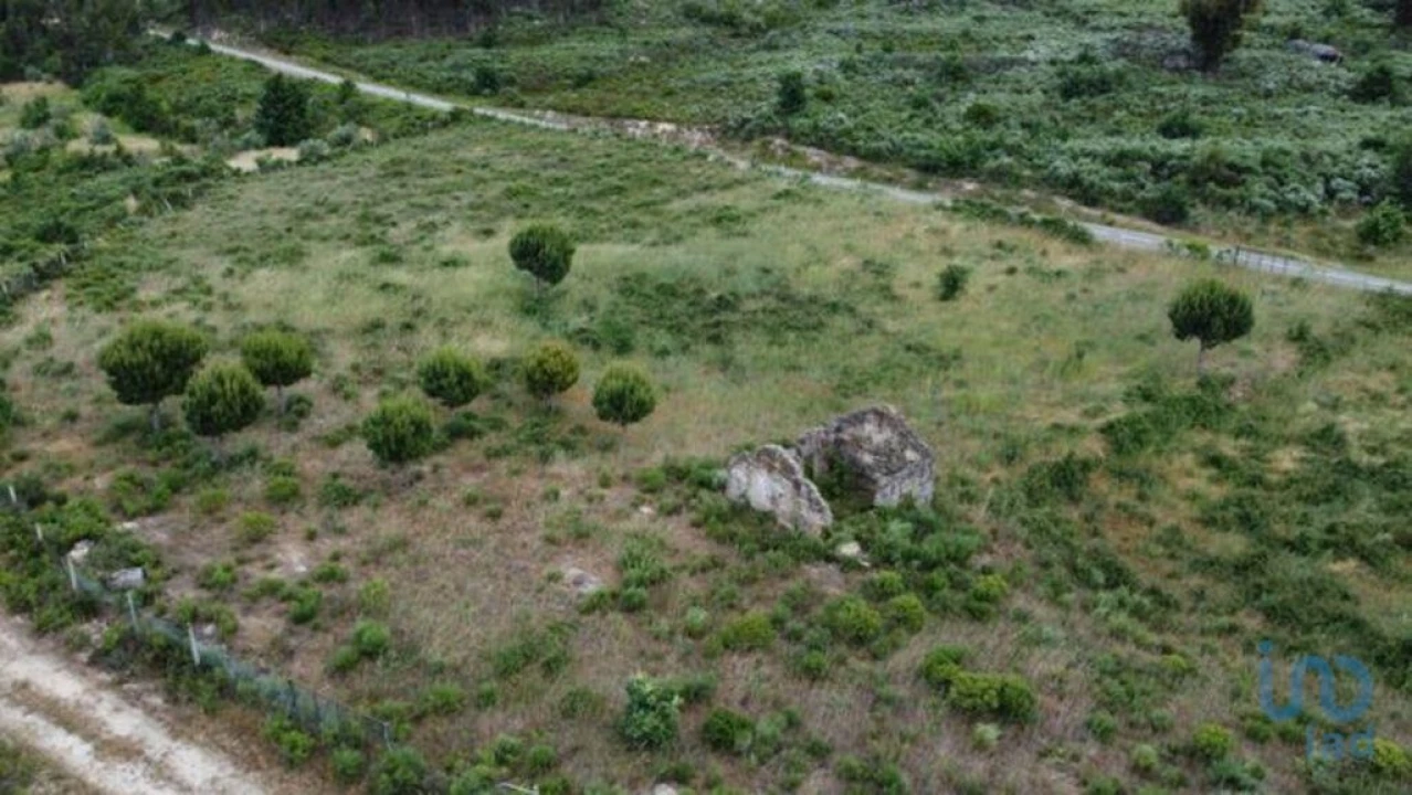 Terreno para Venda em Seixo da Beira Foto 10