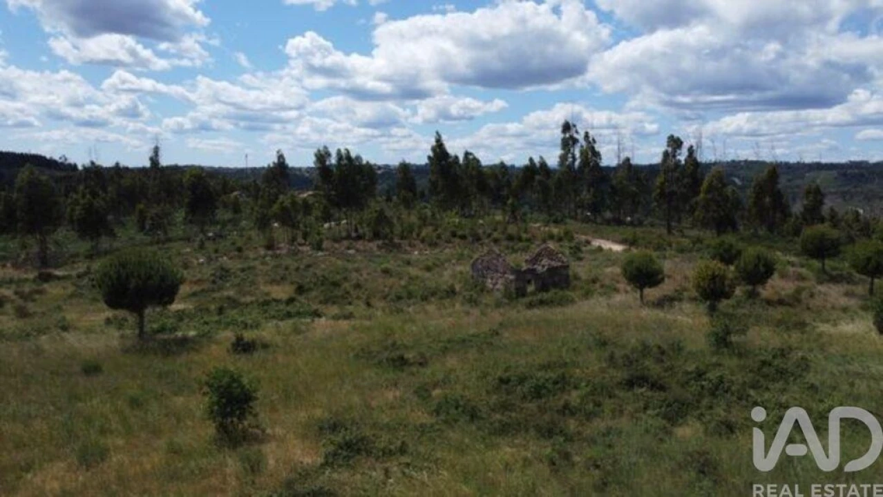 Terreno para Venda em Seixo da Beira Foto 17