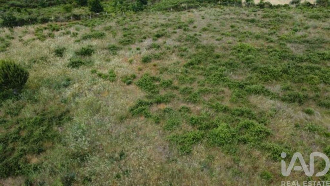 Terreno para Venda em Seixo da Beira Foto 19