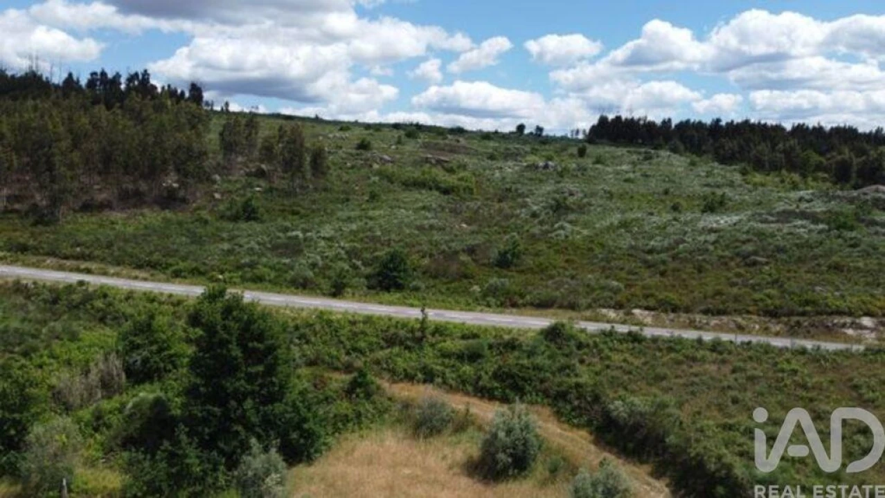 Terreno para Venda em Seixo da Beira Foto 20