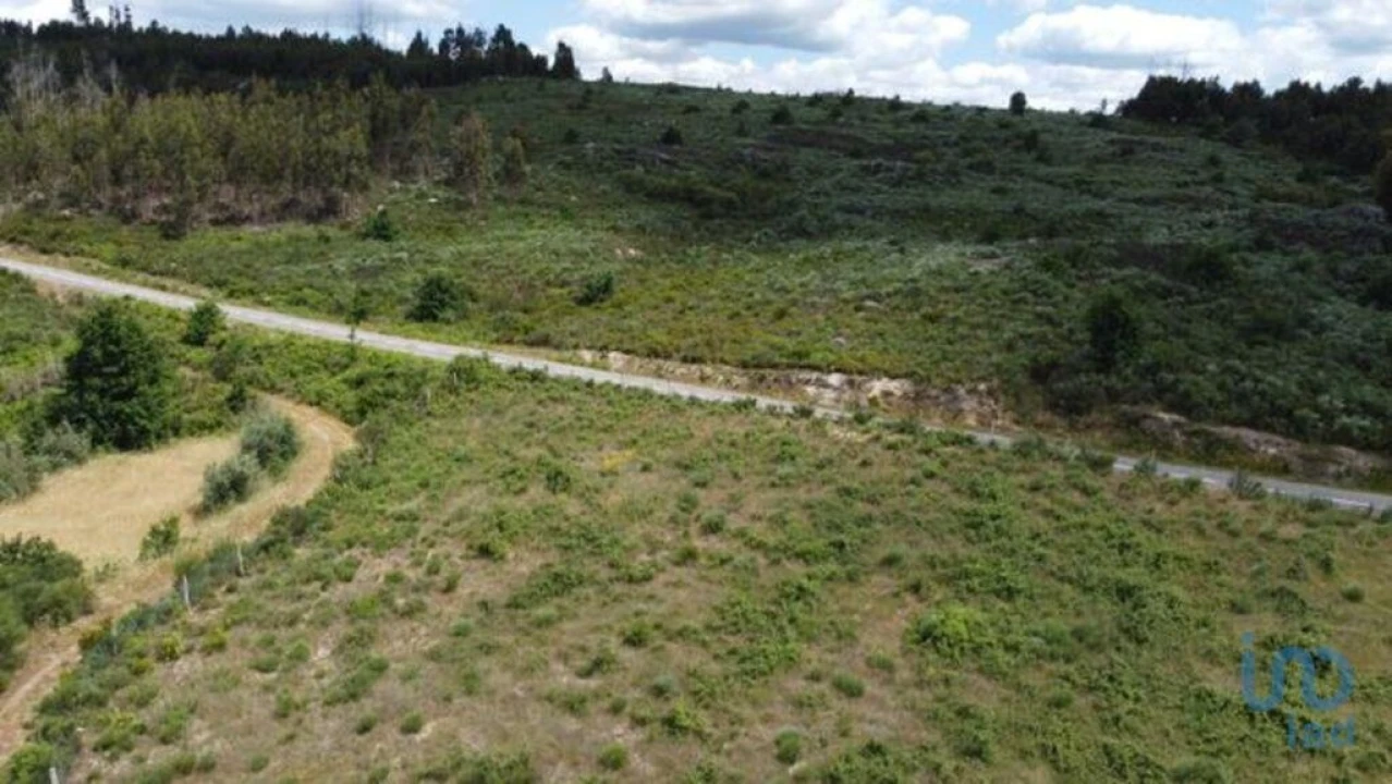 Terreno para Venda em Seixo da Beira Foto 4