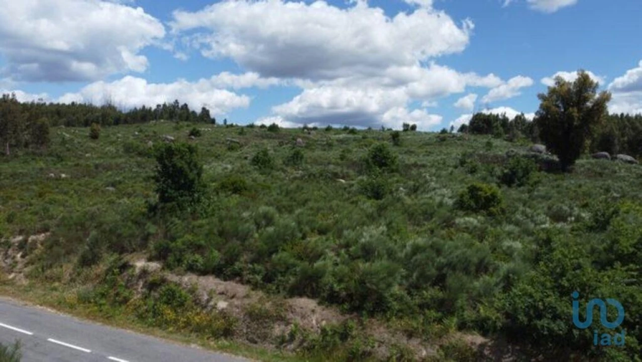 Terreno para Venda em Seixo da Beira Foto 13
