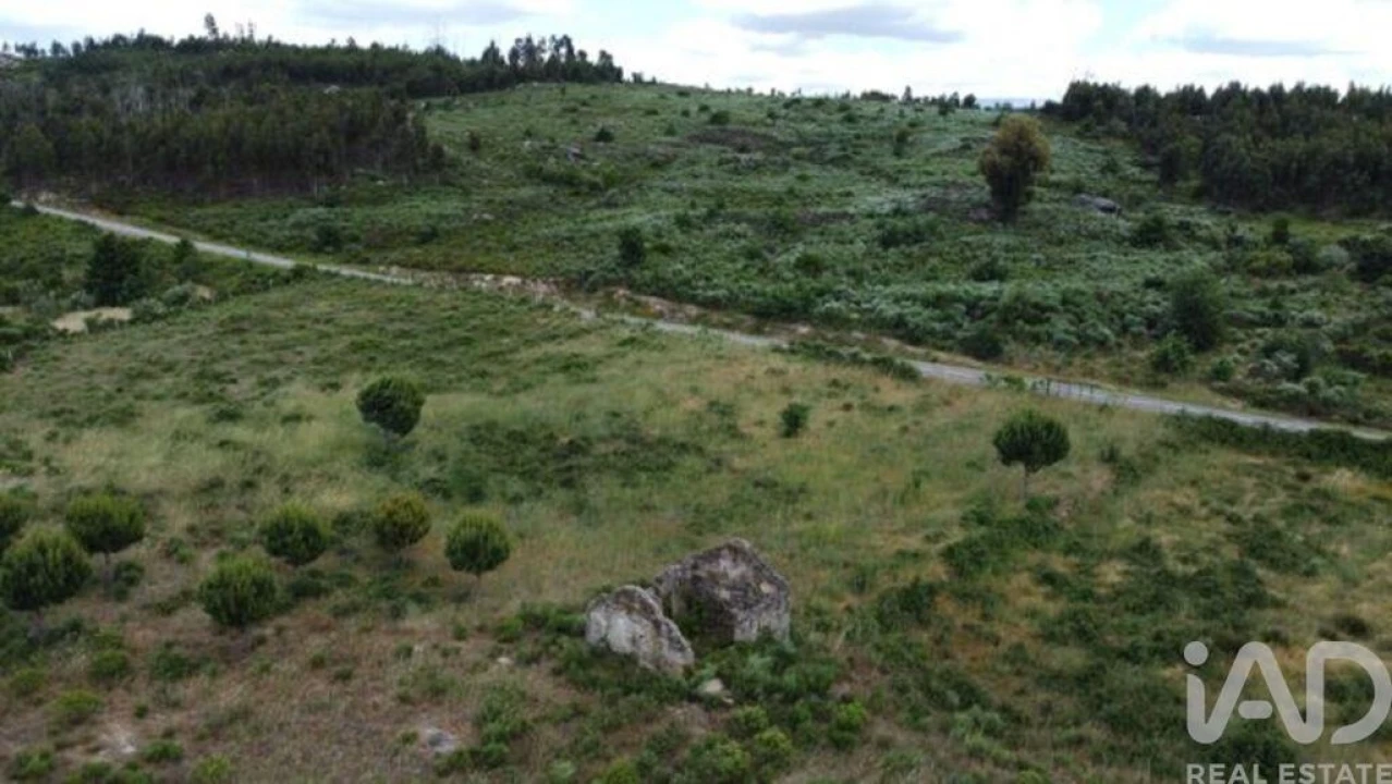 Terreno para Venda em Seixo da Beira Foto 24