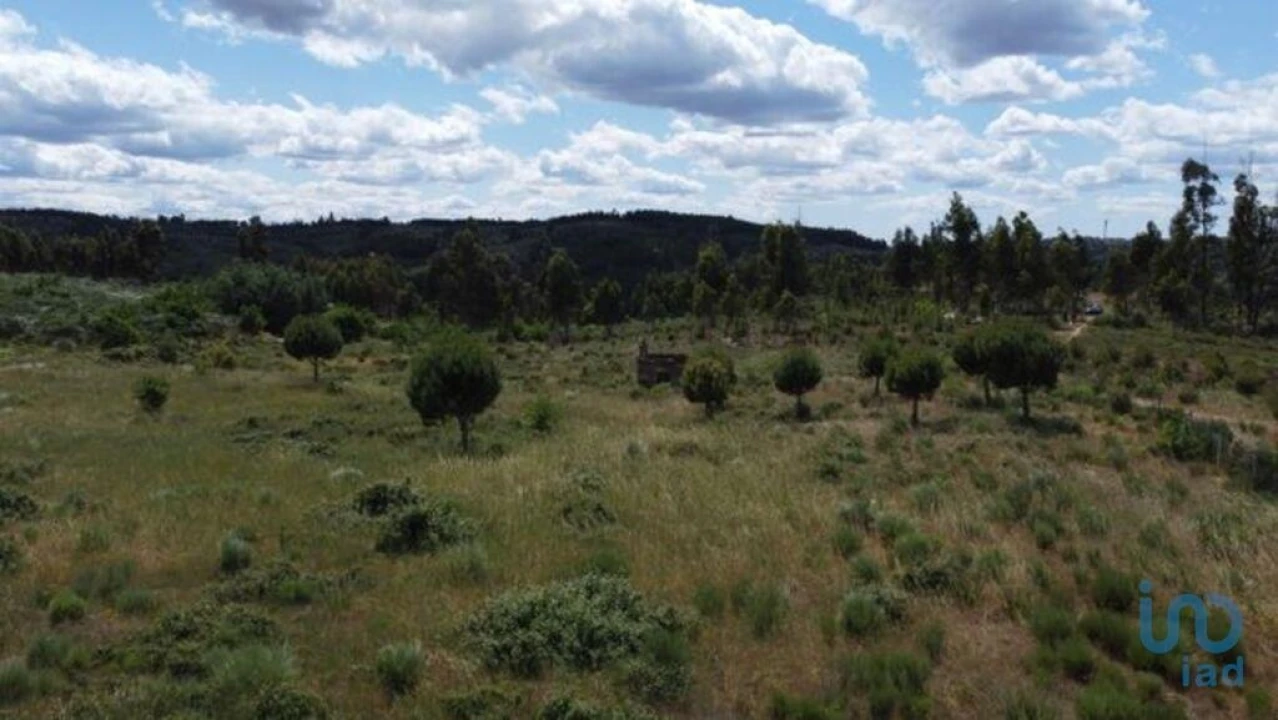Terreno para Venda em Seixo da Beira Foto 12