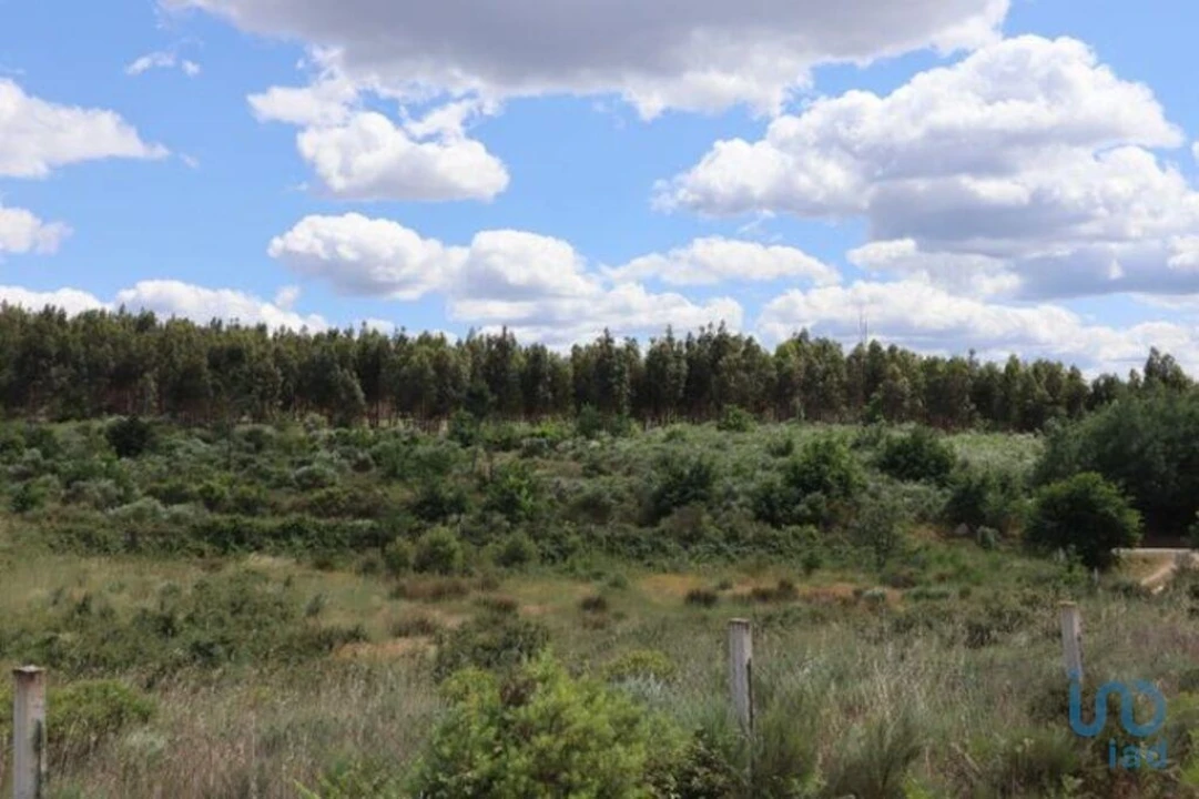 Terreno para Venda em Seixo da Beira Foto 3