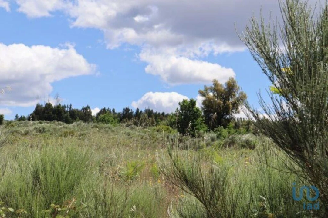 Terreno para Venda em Seixo da Beira Foto 5
