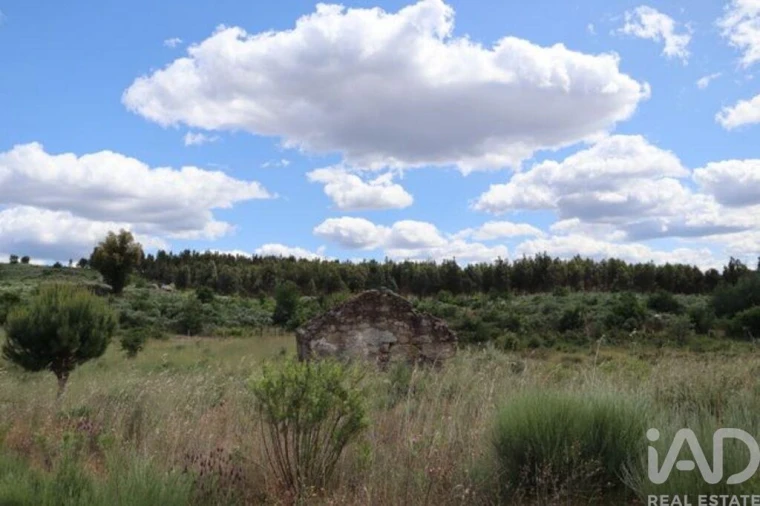 Terreno para Venda em Seixo da Beira Foto 15