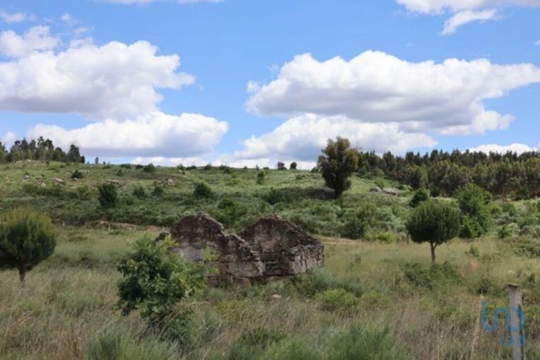 Terreno para Venda em Seixo da Beira Foto 9