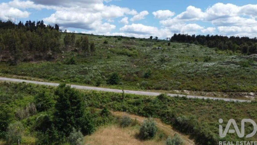 Terreno para Venda em Seixo da Beira Foto 16