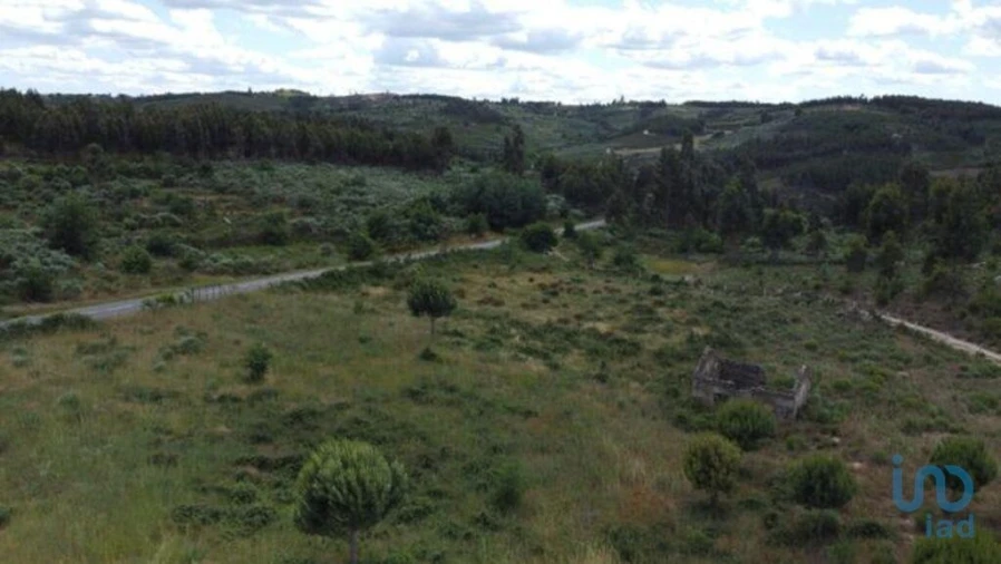 Terreno para Venda em Seixo da Beira Foto 6