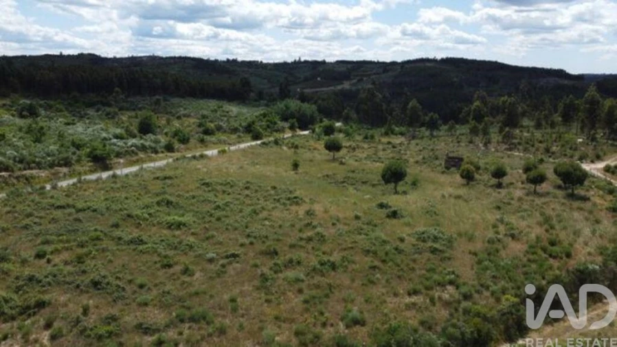 Terreno para Venda em Seixo da Beira Foto 25