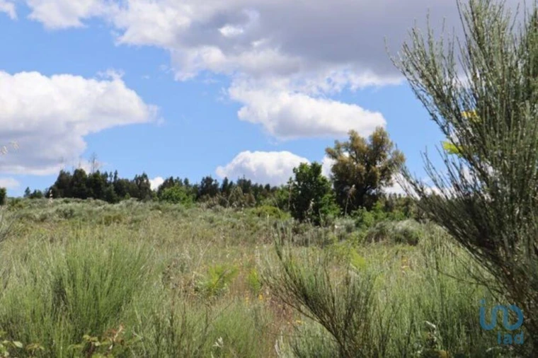 Terreno para Venda em Seixo da Beira Foto 5
