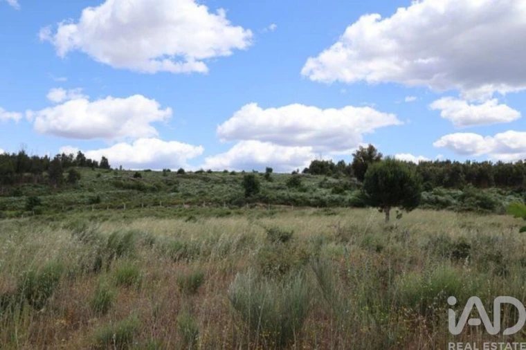 Terreno para Venda em Seixo da Beira Foto 21