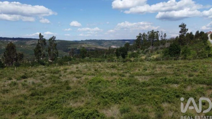 Terreno para Venda em Seixo da Beira Foto 26