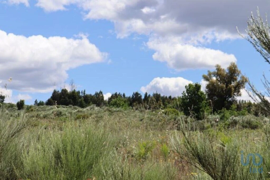 Terreno para Venda em Seixo da Beira Foto 11