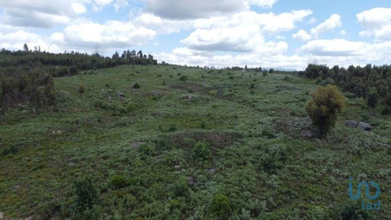 Terreno para Venda em Seixo da Beira Foto 7