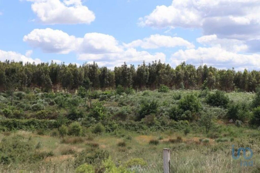 Terreno para Venda em Seixo da Beira Foto 14