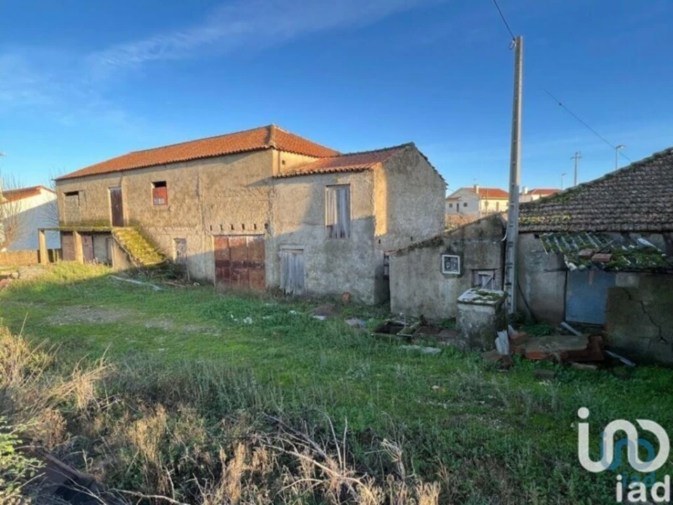 Moradia para Venda em Algoso, Campo de Víboras e Uva Foto 4