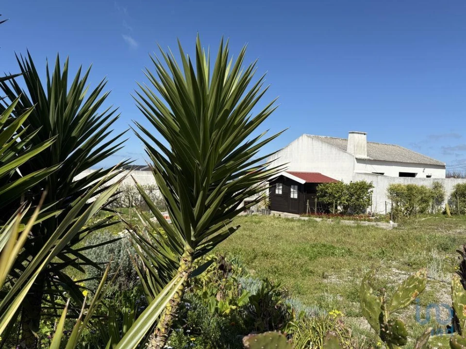 Terreno para Venda em Lourinhã e Atalaia Foto 11