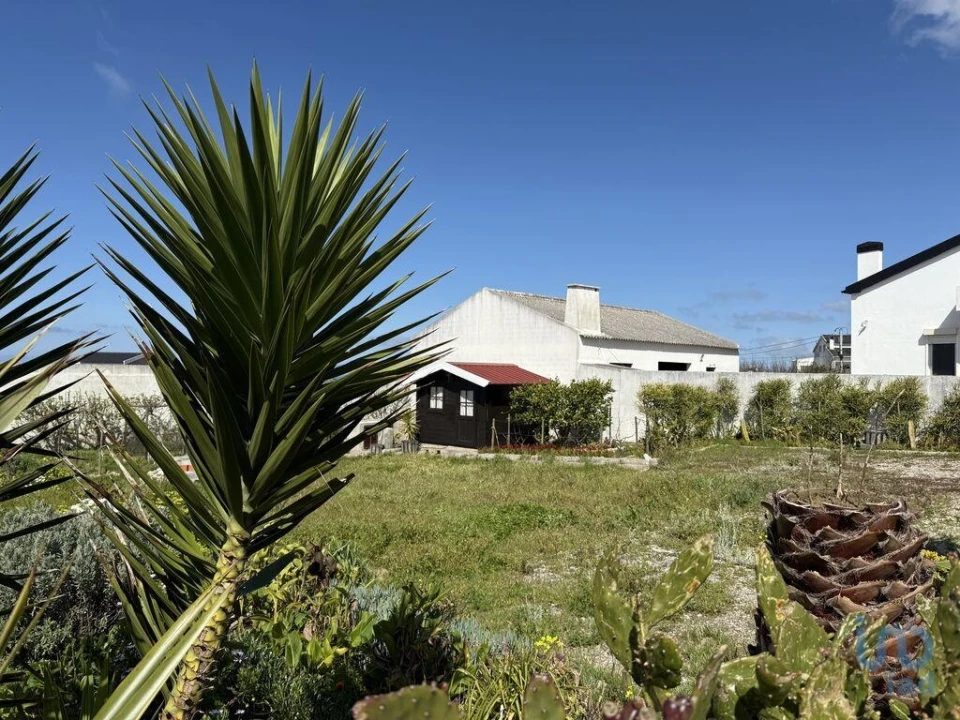 Terreno para Venda em Lourinhã e Atalaia Foto 10