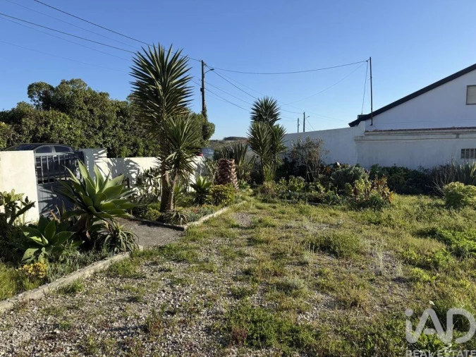 Terreno para Venda em Lourinhã e Atalaia Foto 17